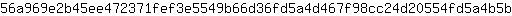 5***b