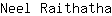 N***a