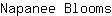 N***s
