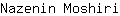 N***i