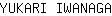 Y***A