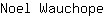 N***e