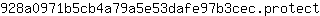 9***t