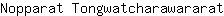 N***t