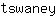 t***y