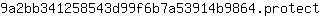 9***t