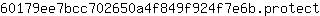 6***t