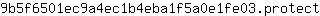 9***t