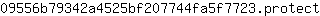 0***t