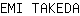 E***A