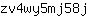 z***j