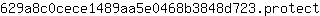 6***t