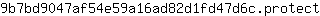 9***t