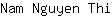N***i