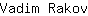 V***v