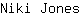 N***s