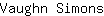 V***s