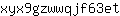 x***t