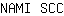 N***C