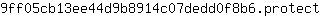 9***t