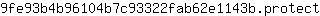 9***t
