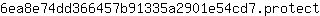 6***t