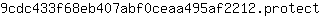 9***t