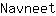 N***t