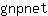g***t