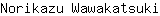 N***i
