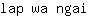 l***i