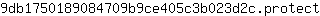9***t