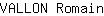 V***n