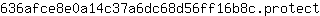 6***t