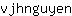 v***n