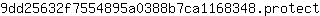 9***t