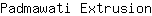 P***n
