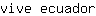 v***r
