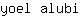 y***i