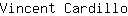 V***o