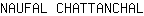 N***L