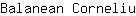 B***u