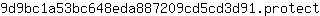9***t