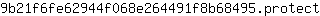9***t