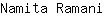 N***i