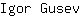 I***v