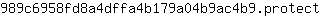 9***t