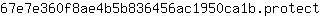 6***t