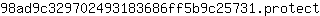 9***t
