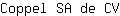 C***V